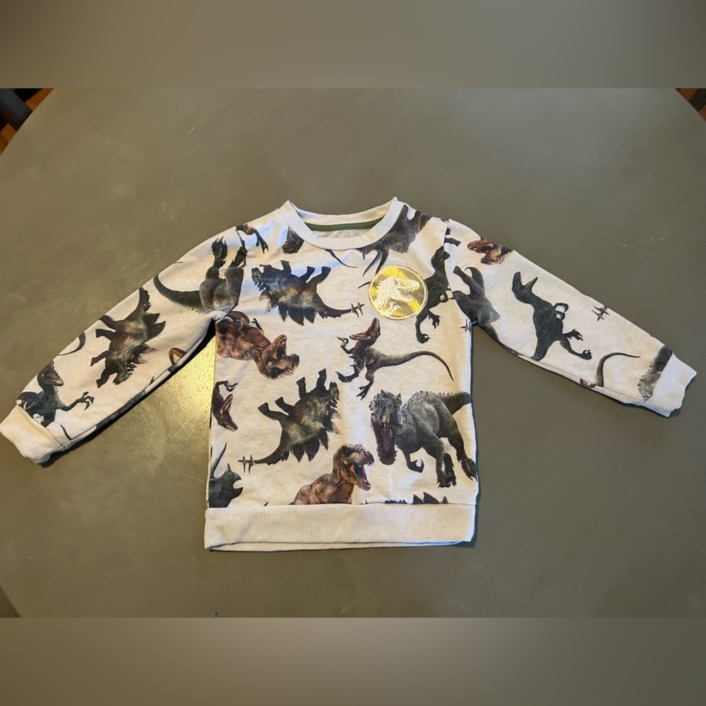 Kids Jurassic Park Sweatshirt 4T